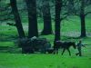 dsc03825.jpg