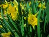 dsc03846.jpg